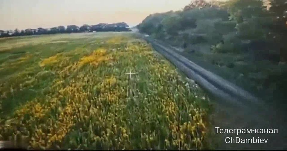  :  37      &quot;&quot;  ,   ,   &quot;&quot;      - 