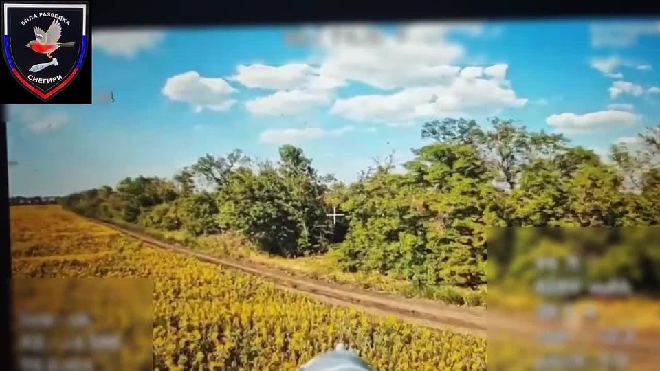  :  37      &quot;&quot;    ,   ,      - 