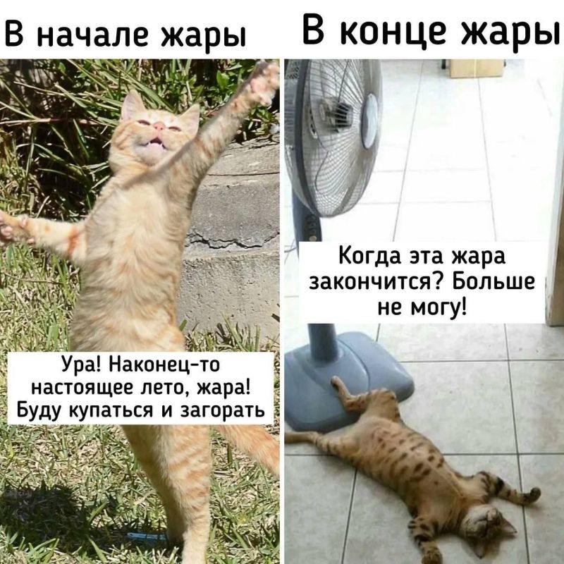 ������ ������� �� ������� ������ VS ������ ������� �� ���� ������