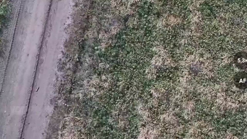 #��_�����������