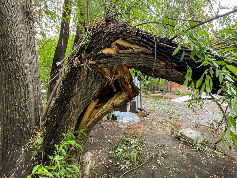 Десятилетний ребенок погиб в Донецке в результате урагана