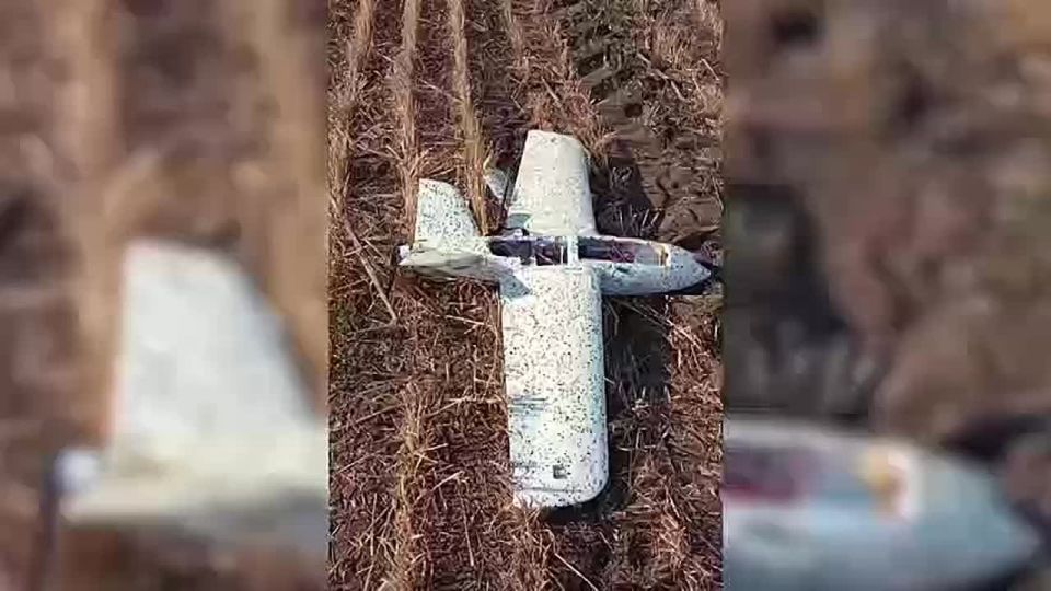 �� ������ ����������� 694 ��������� ����