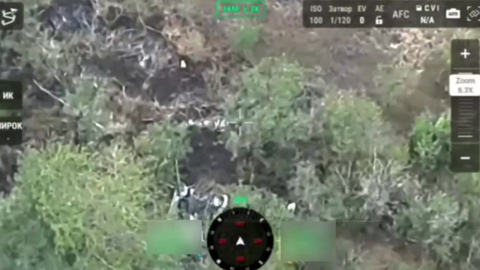 ���������� 14 ����������� ������� �������� ���������� � ���������� ���� ��� �� ����-�������� �����������