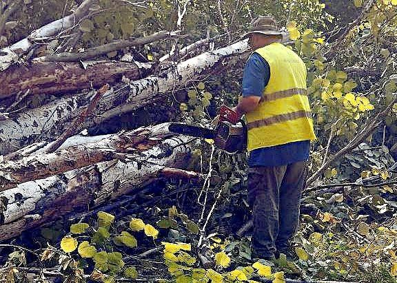 Иван Адамец: В Куйбышевском районе ведутся работы по устранению последствий сильного ветра