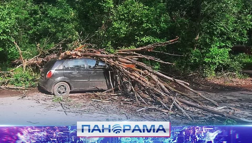 ����� ������: � ������� �� ����� ������� ����� ������ � ���������� ��������� ����