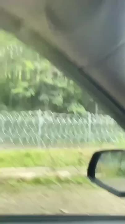 ������ �������� ������� ������� ������� ��������� �� �������� �������� �������