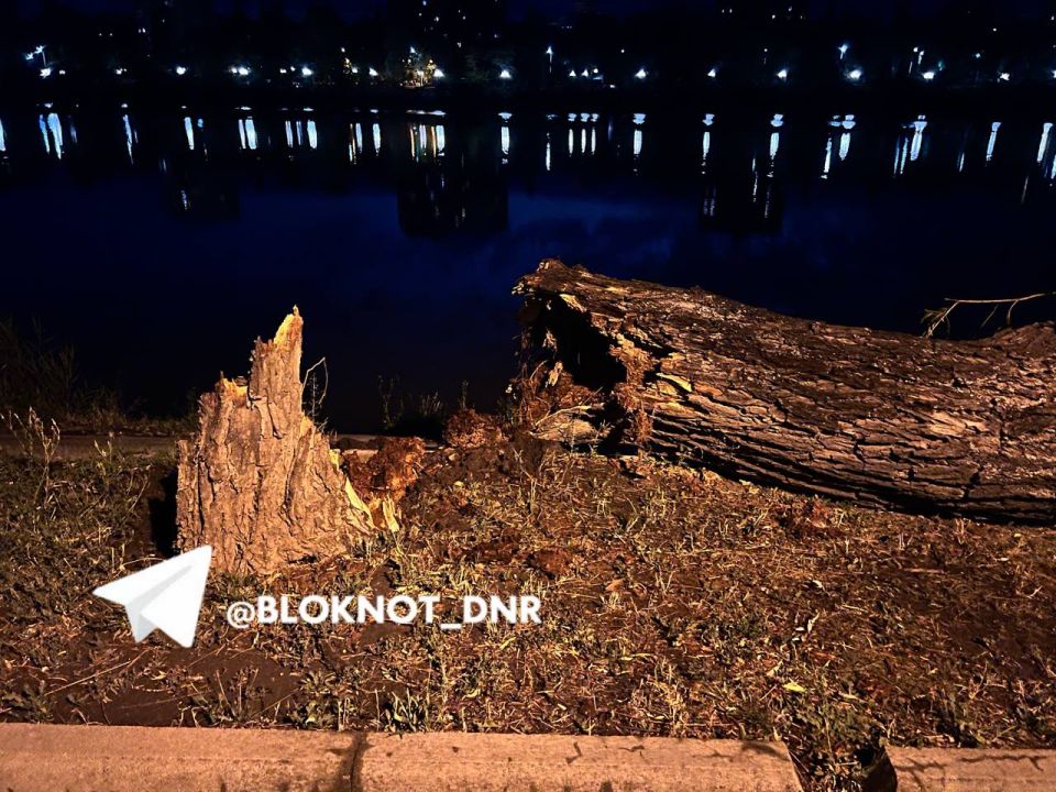 41 ������ ����� � ������� ����� �������: ��������