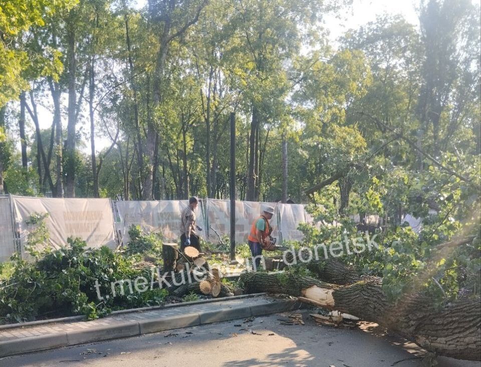 ������� ��������: ������������ ������ ���������� ������������� ����������� �������� ����� � �������