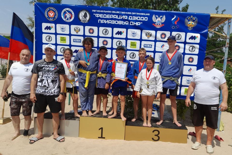  .  13     &quot; &quot;  &quot; &quot;          2011-2016.