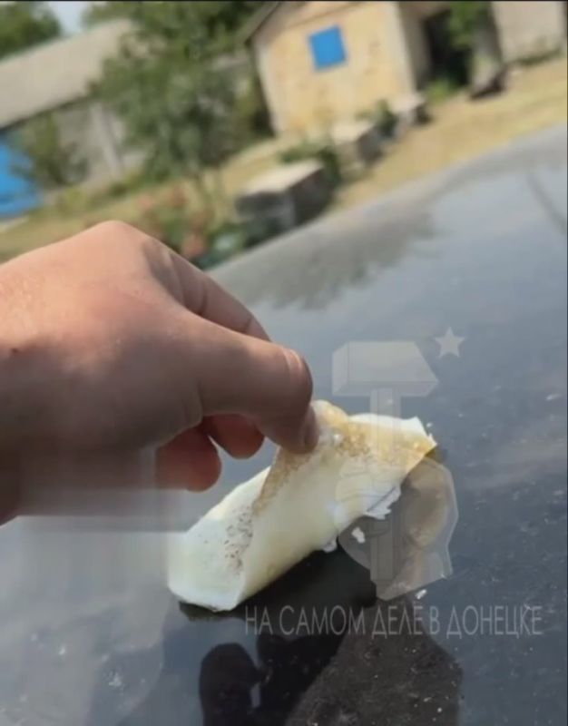 � ������� 13 ���� ����� ������������� ������ 1996 ����