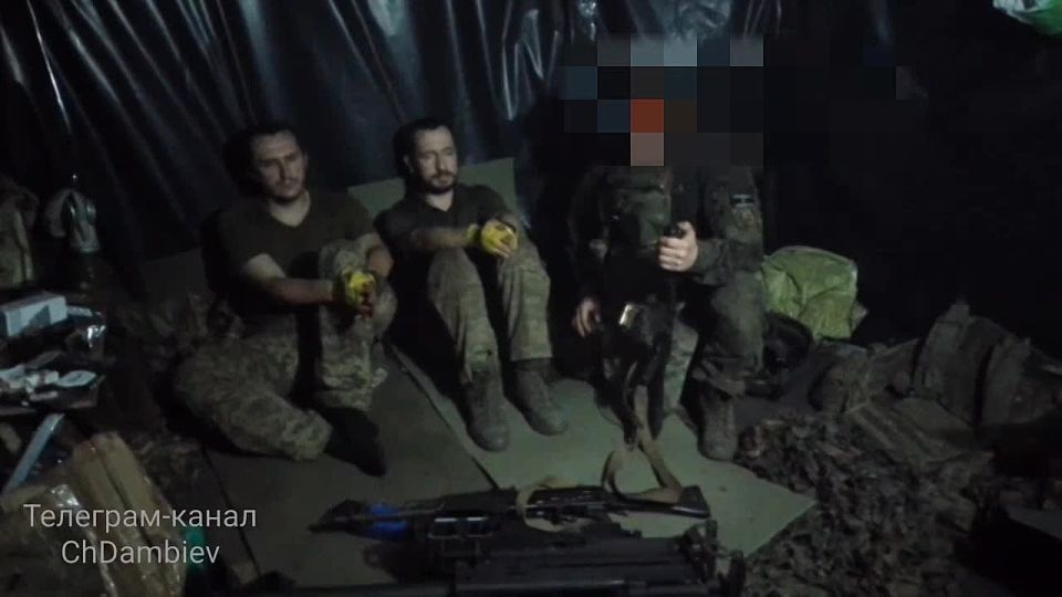  :    ,        &quot;&quot;    - 