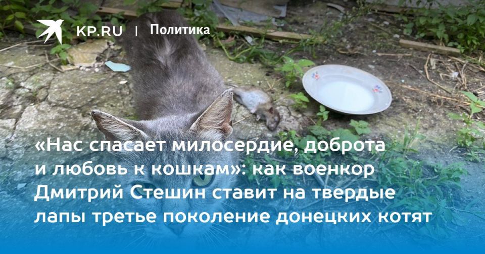  : #  .  ,         ,     ,      