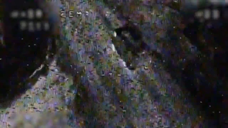  :  -   FPV-        ,       