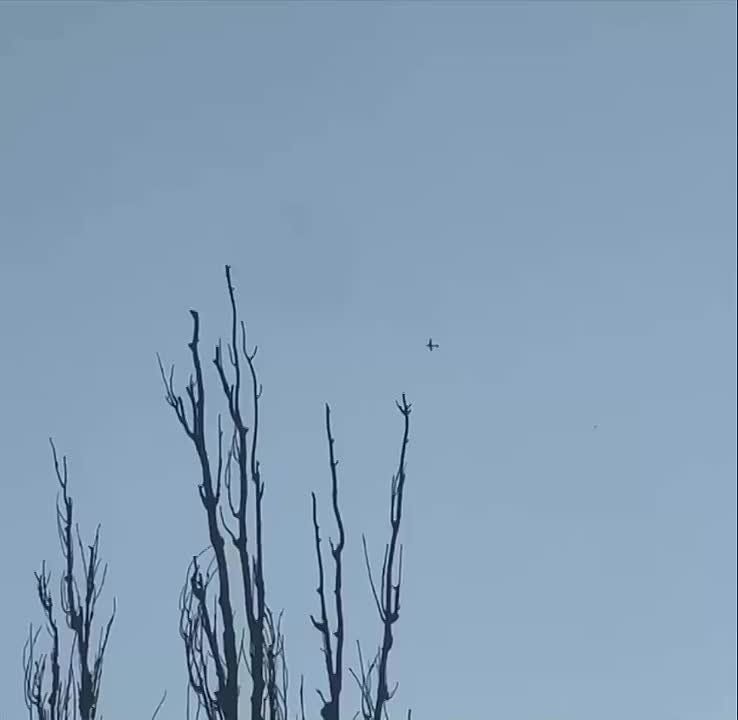 ��� �������� ������ ���������� ����������� � �������� ������� �������
