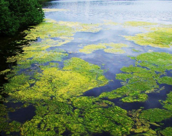 ������� ��������: ��������� ������ � ����� ������!