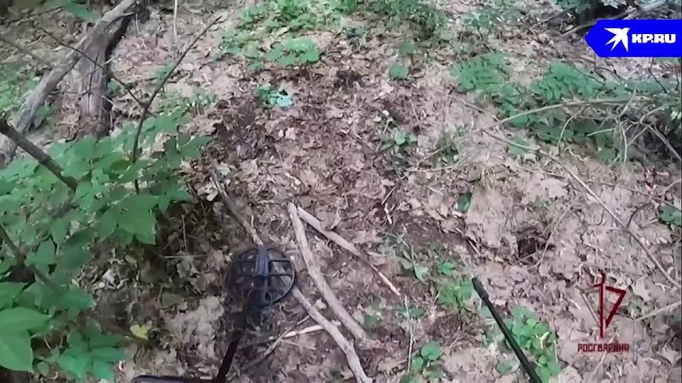 Росгвардия обнаружила схроны ВСУ с оружием и боеприпасами в ДНР