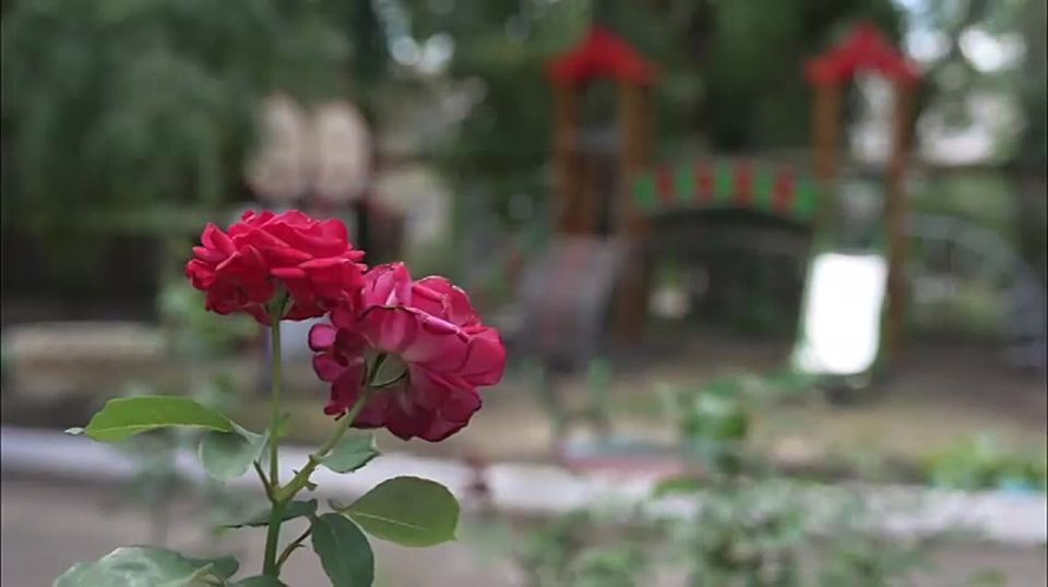 ����������� �������, �������� �� �� ���!