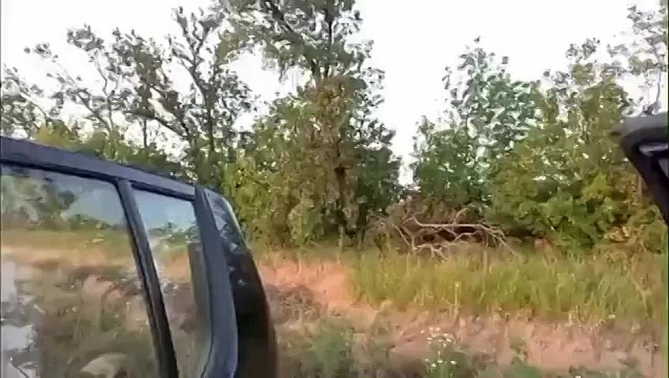  :         fpv-     - 