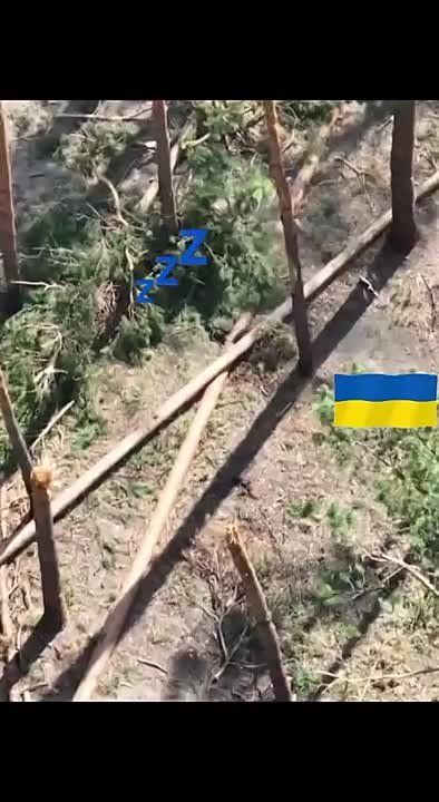 ��� ���� ������� �� ���������� ����� ��� ������� ���������� ������, �� �� �� ��� ������� ��������� ���������� ������, ������ �� ���� ������ ��������� ������ ����� �� ���������, ��������, ���� ��� ���� ��������� �� ��������...