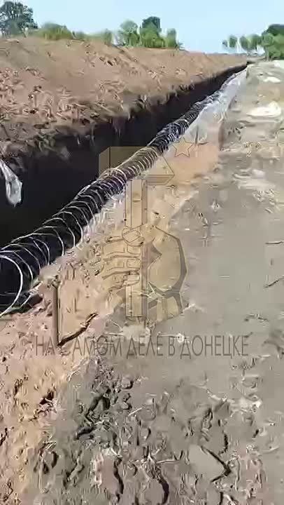 �������� �� ������������� ������� �� �������� �������������� ���������� � ���������������� ������� ��� ������� �������