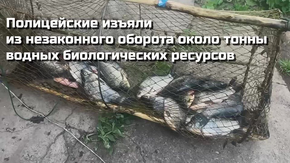 ����������� ������ �� ����������� ������� ����� ����� ������ ������������� ��������