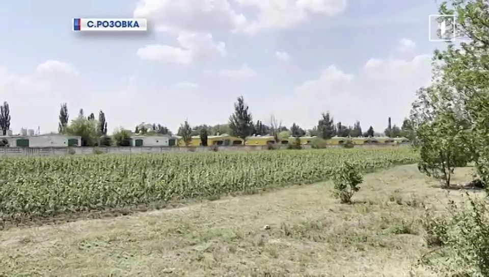 Иван Приходько: Положение дел в аграрном секторе ДНР из-за нехватки водных ресурсов