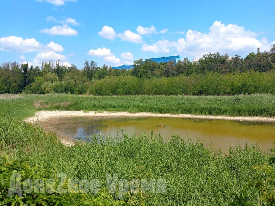 �������, ������ �� ��������� ������: ������ �������� ���������� ������������ ���� � �����������