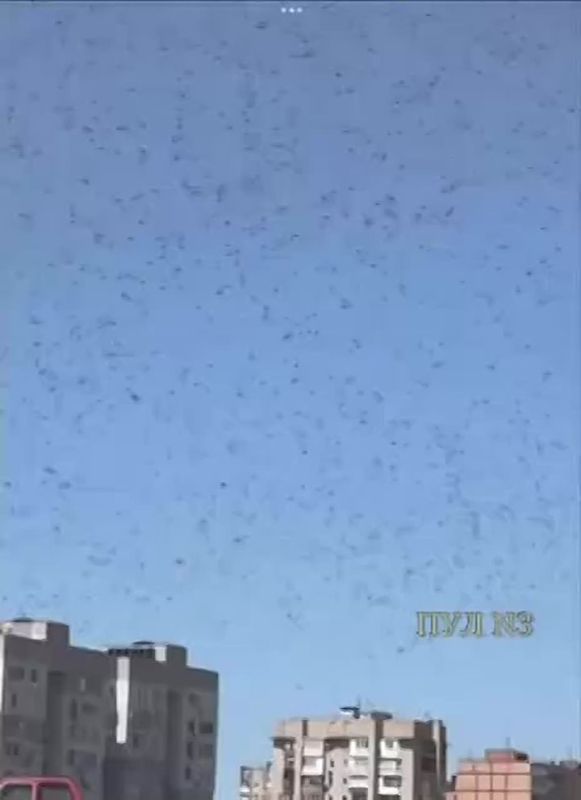 ��������� ������� � ���: ����� �������� ���� �����������