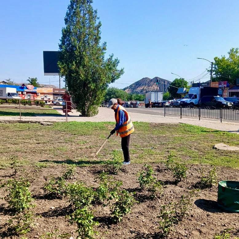 Михаил Меренков: Участок по благоустройству Буденновского района МУП АГОД «Зелёное строительство» в работе