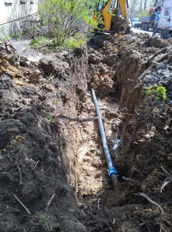 ���� ���������: ������ ����������� ����� � ��� ��������� ��� ����������� ��������� ����������� �������