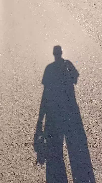  :     -    International MaxxPro  