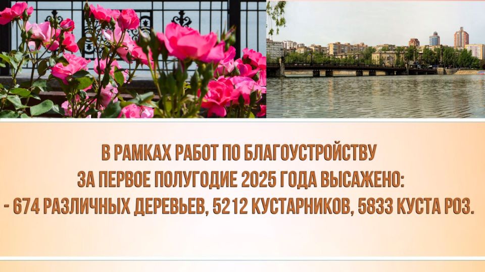 ������� ��������: ����� ������ �� ��������������� ������������ ����������� �� ������ ��������� 2025 ����