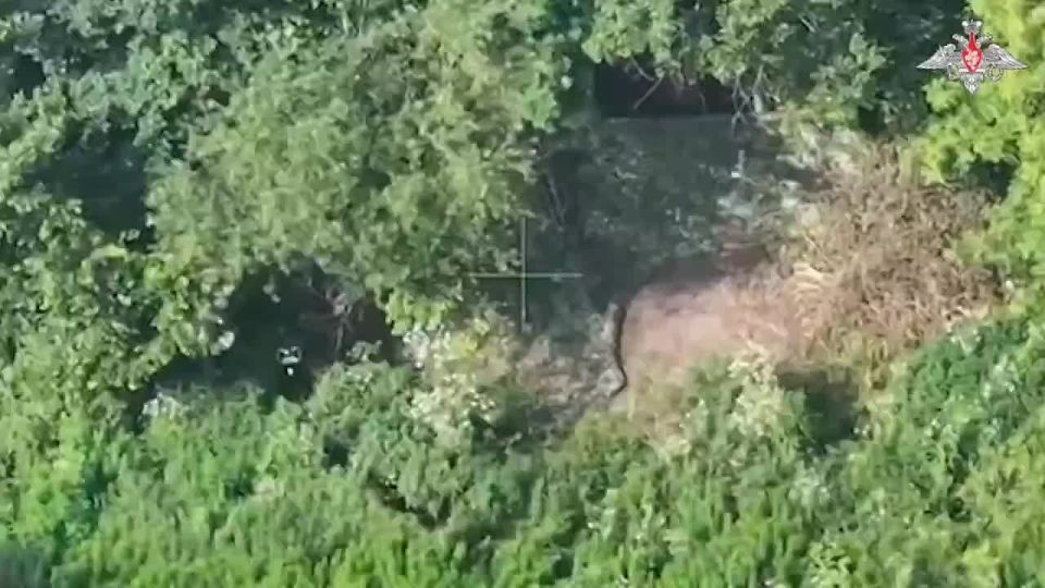�� ��������������� ����������� ����������� ���������� ������ ����������������� � ������� �������� �������� ����������