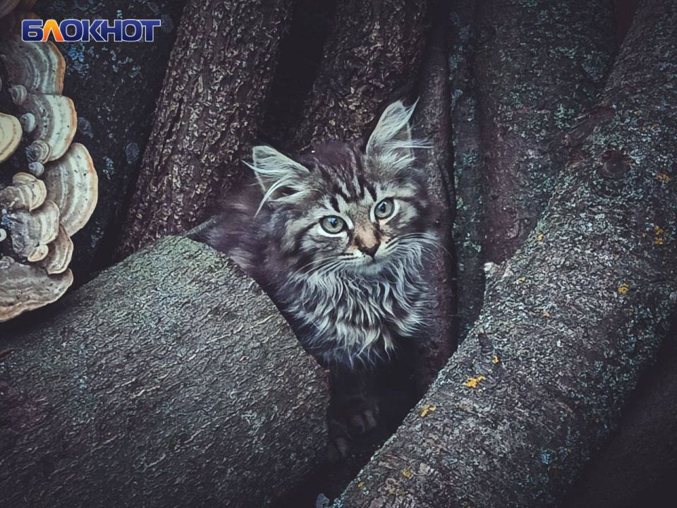 ������� ����, ������!. � ������� 24 ���� � ������� ��� ����, ��������� ���������� ����������