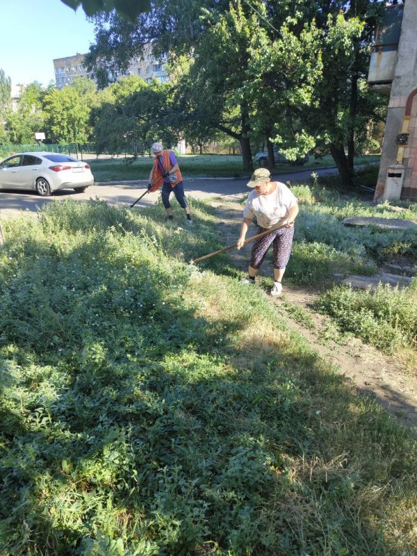 �������, 24.07.2025 ����, ������ ����������� �������-������������ ����������� ������������� ���������������� ������ �. ������� ���� ��������� ��������� ������: