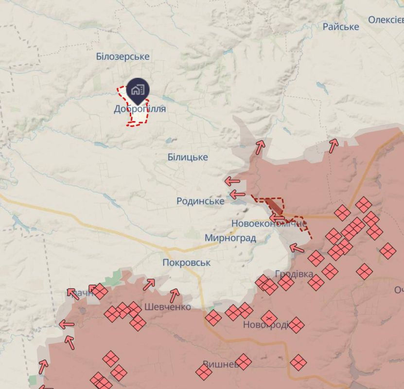  :                     ,   