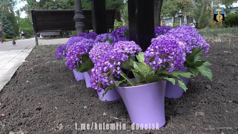 ������� ��������: �� �������������� �������� ������� ������ ������� �������� ������� ���������� �� �������� �������