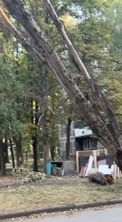 ����� 13 ���� �� ����� ������������� � ������� ����� ������ � ����� �� ��������
