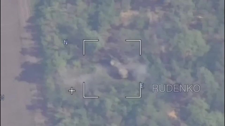  :        -     Bogdana     