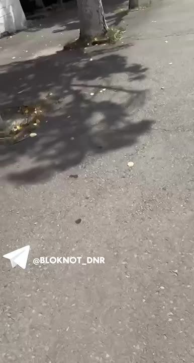 ���������� �� ���� ������� ������� �� ������ �������� � ���