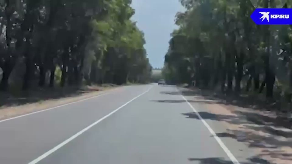 ����� ����� ����� �������: � ������� ��� ��� ����������� ��������� ��������������� 10 ����
