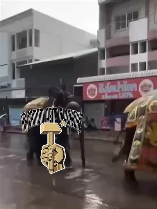 ������ ���� � �������� �������