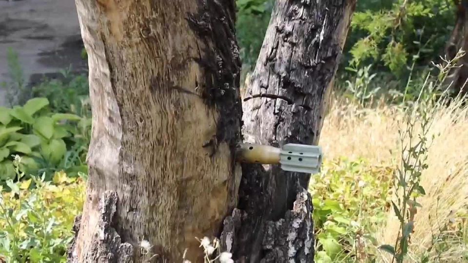 ������������ �������� ������������� �� ������ ��� ������������� ��������� � ���