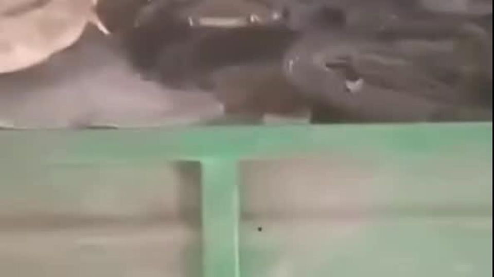 ��� �� ����� ������������ ������� - ������ ������ ������������: �����