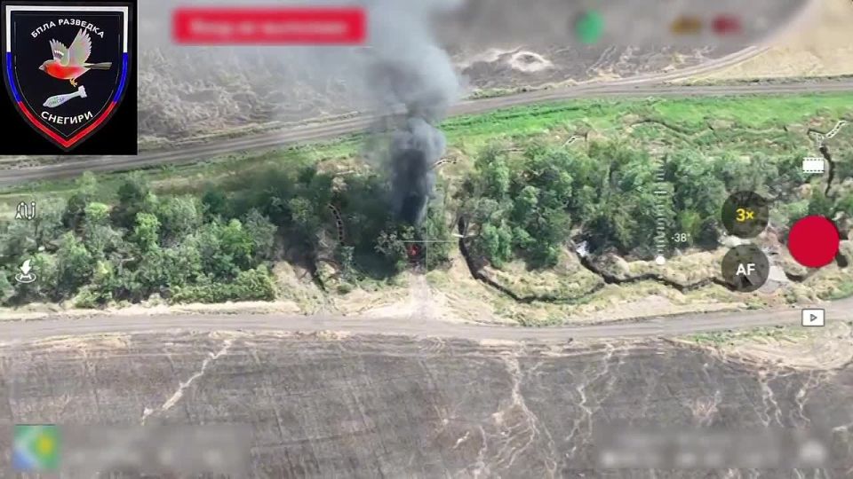  :    37      &quot;&quot;    ,   