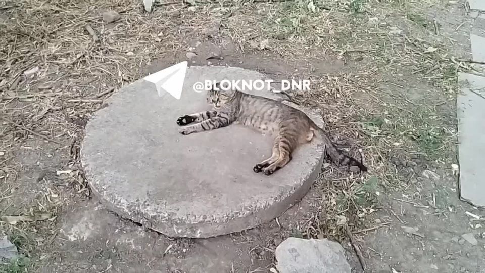 �� ���� � ����� �������� ��������� ����� � ������ �� ������ �������