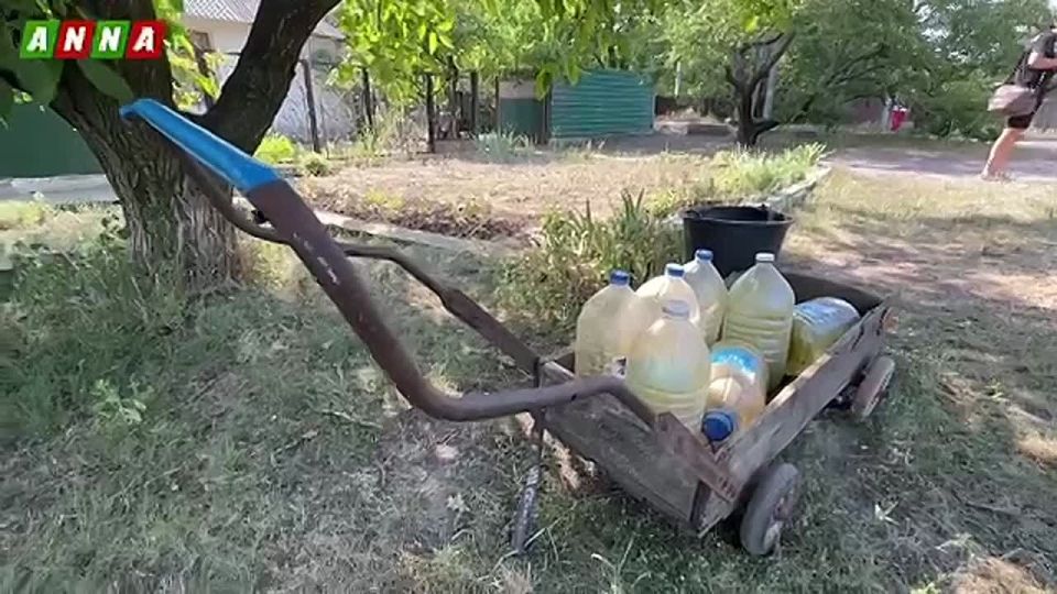 ������ �������: ���� ���, ���� +35