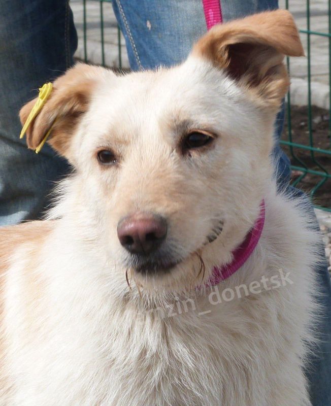 ������� ��������: ��������� �������� � �� ���� ������ �������� ��������: ���������� ������� � �������� �����������