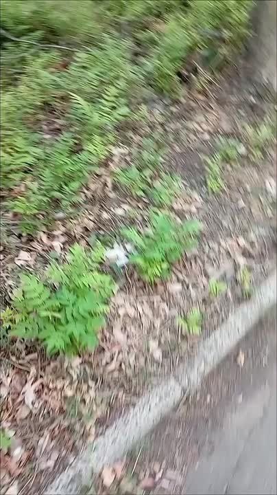 ����� ��������� �������� � ���� �� ������������ � �������