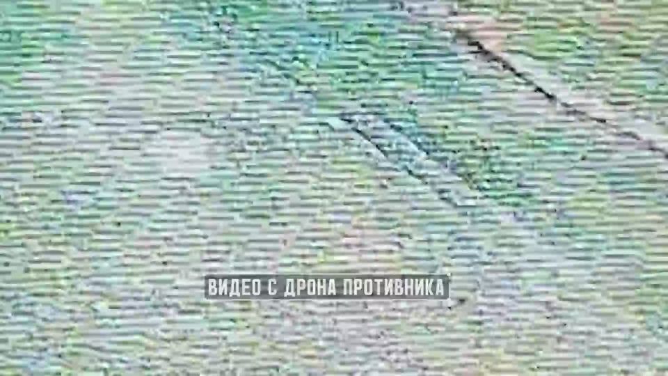 ��� 50 ������������� ��������: ��� ��������� ������ ���������� 925 ��� �� ������